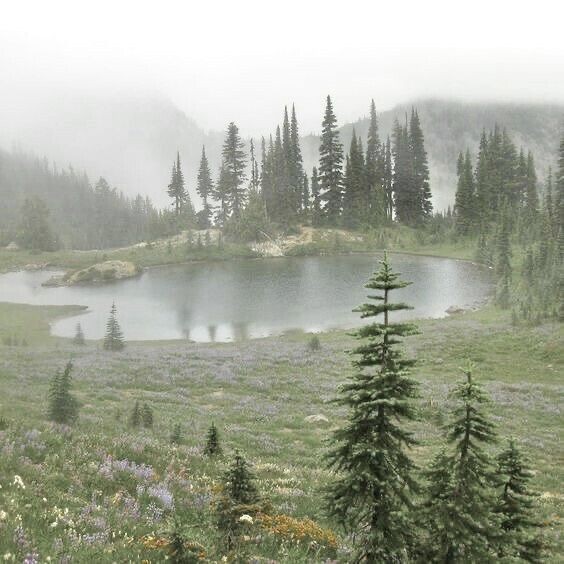 themeluscript's tweet photo. create a folklore moodboard! https://t.co/gtJ0YVts8G