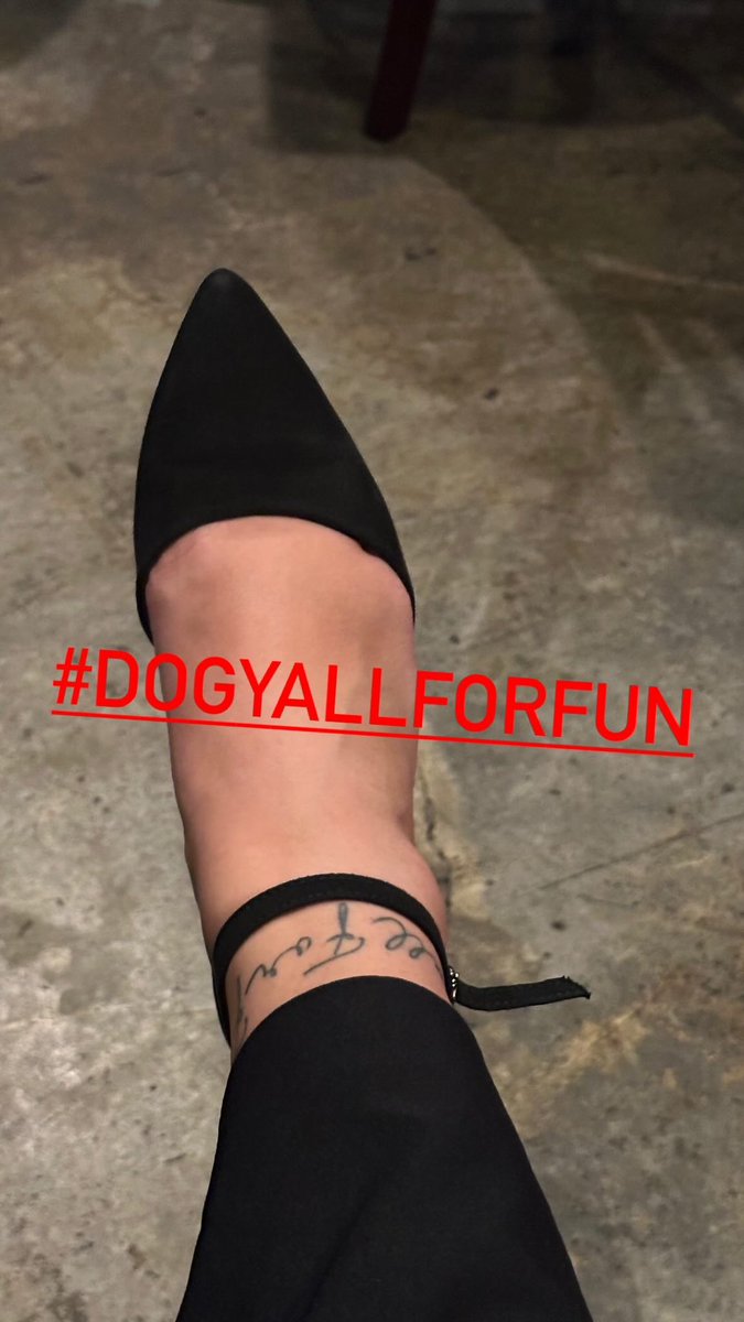 3andyourout's tweet photo. 😏YKWTFGO🤪 #DogYallForFun https://t.co/Z4qfftbT5q