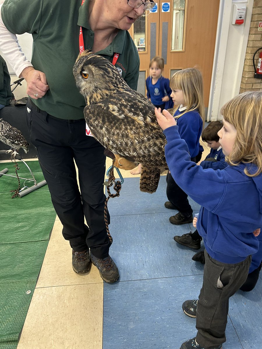 gilwern_school's tweet photo. An exciting experience for #GilwernReception linking to our new story #OwlBabies We loved learning new facts about owls and can’t wait to carry on our learning in class #FestivalParkOwlSanctuary #CLIMB #AuthenticLearning https://t.co/uUL1ST6lOl