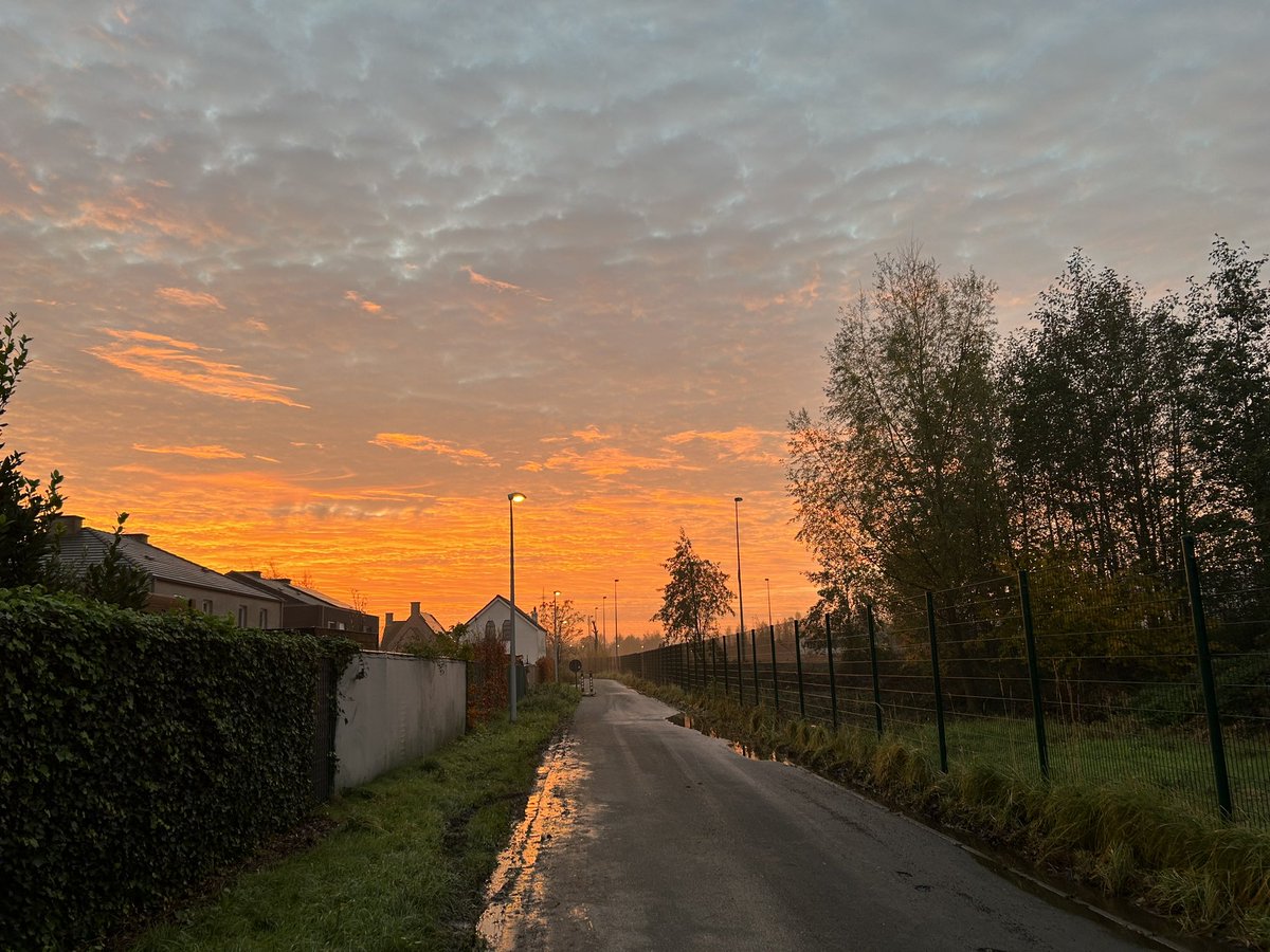 RemueThomas's tweet photo. #vrtweer #NaturePhotography 
@Weerbord @MeteovistaBe @HetweerinBelgie 
Melle, 08:02, 22/11/2023, https://t.co/PeLNpjwJIe