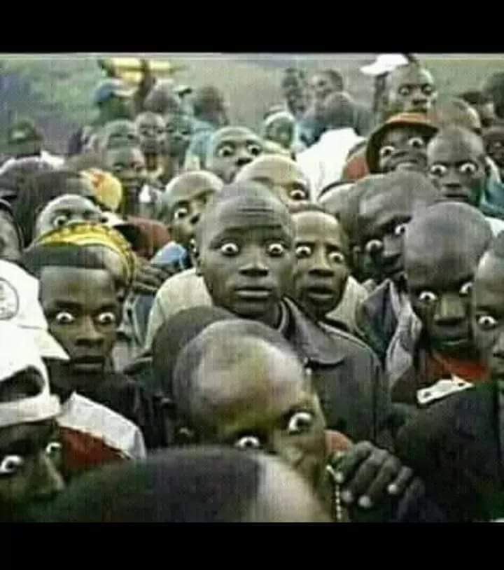 Souad Fouad tweet media