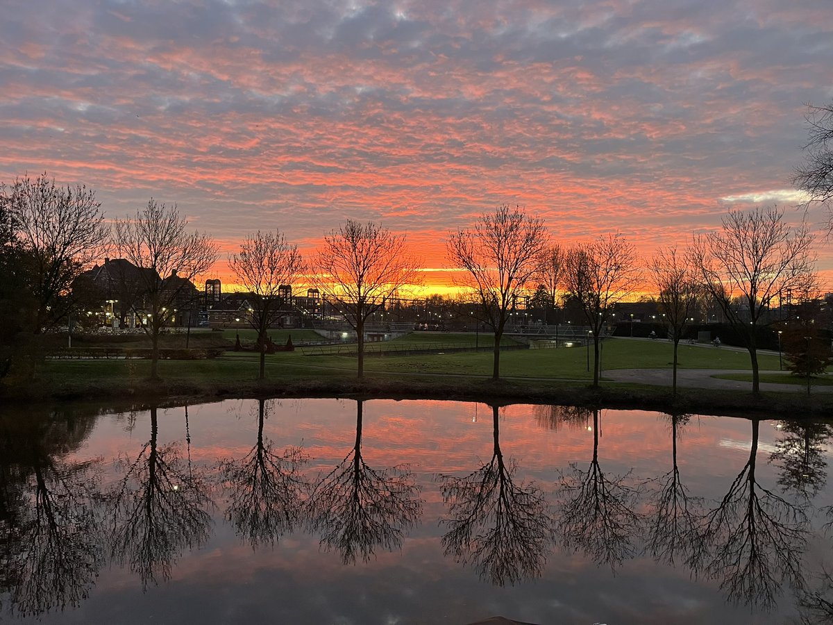 Prachtige dag om te gaan stemmen! Ik hoop dat iedereen dat doet ❤️ Mijn stem gaat naar <a href="/marleenhaage/">Marleen Haage</a> <a href="/gl_pvda/">GroenLinks-PvdA</a> nr 26