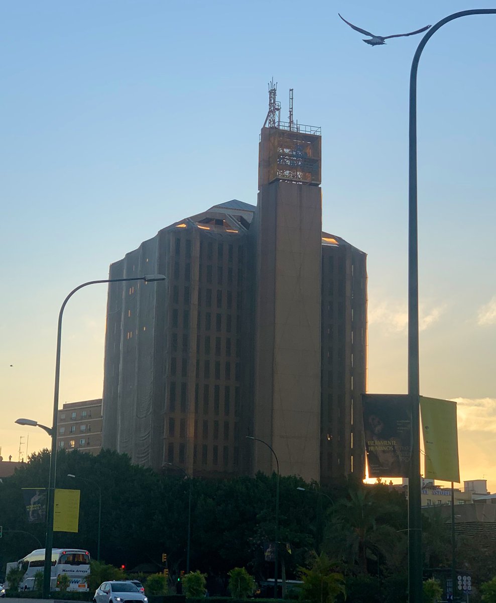 Fran Campos ۞ tweet media