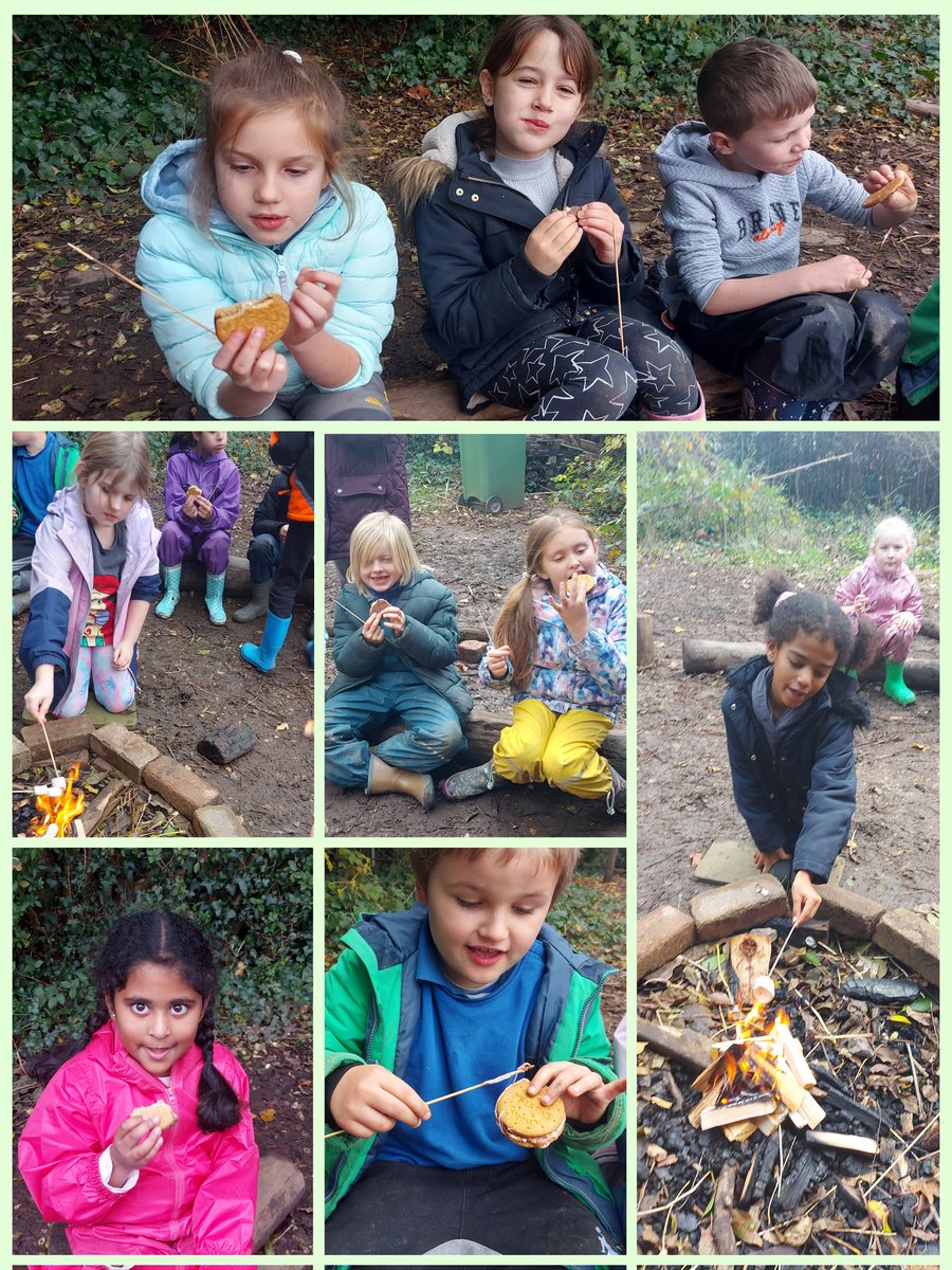 Coed Glas Forest Sch tweet media