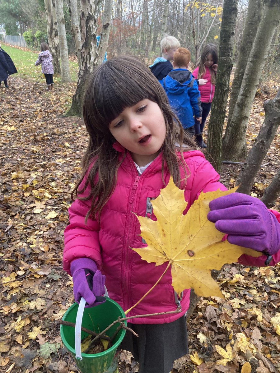 innerwick.ps tweet media