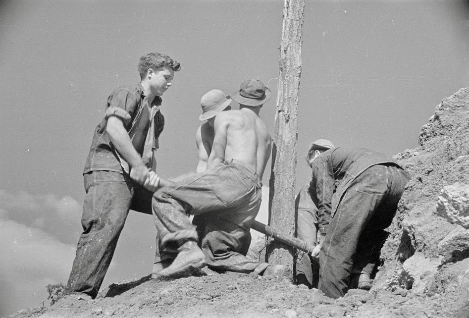 In #NOVEMBER 1935
‘CCC (Civilian Conservation Corps) boys at work, #PrinceGeorgesCounty, Maryland’
Resettlement Administration photographer Carl Mydans (1907-2004). November 1935.
#GreatDepression #TheNewDeal #CCC #CivilianConservationCorps #ResettlementAdministration