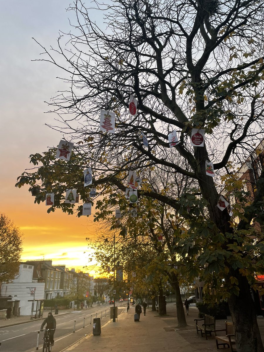 Early morning in Hampstead ✨Christmas Decs on the Autumn trees ✨Beautiful 🧡