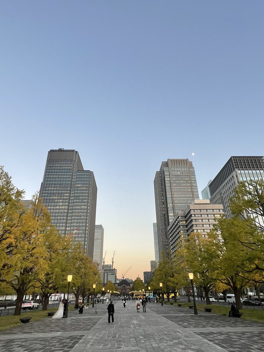 IBASOGO's tweet photo. 本日もお疲れ様でした。
今夜もゆっくり休みましょう！
#銀杏 #いまそら #東京駅 https://t.co/lNuK6tPTnP