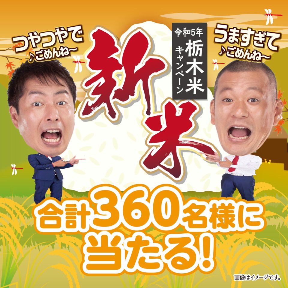 キャンペーン用ですごめんね｜本 