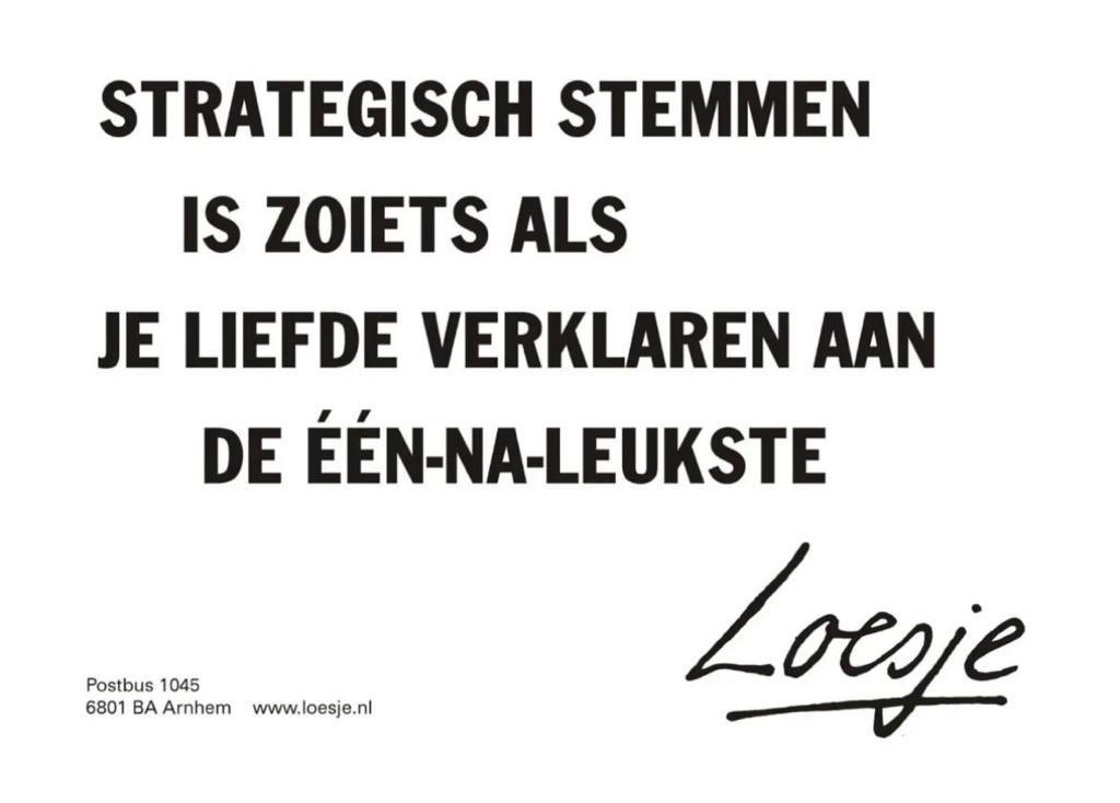 Stem vandaag voor je idealen! Stem op een partij waar je je goed bij Volt. 💜⚡️#tk23 #stemmen #generatievolt #stemvolt #volt