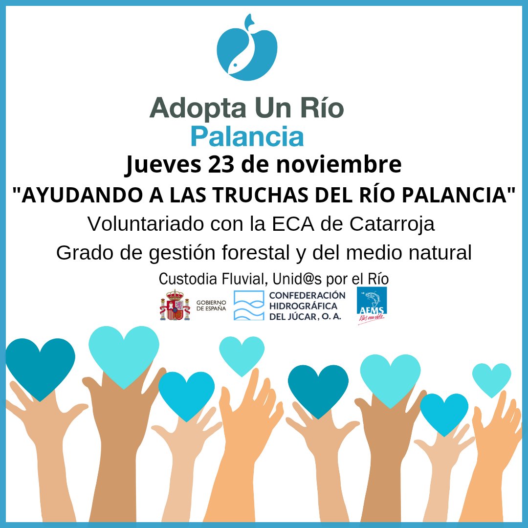 riosconvida's tweet photo. 𝗨𝗡𝗜𝗗@𝗦 𝗣𝗢𝗥 𝗘𝗟 𝗥𝗜́𝗢 de la mano de la @CHJucar en la #Custodiafluvial 
El jueves 23 de noviembre vamos a disfrutar del río con el alumnado del @CatarrojaEca , grado superior de Gestión forestal y del medio natural.
Más info del proyecto:
https://t.co/dpVI8clcG5 https://t.co/NptoWThv6u