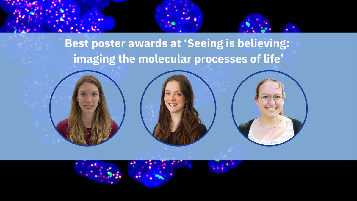 EMBLEvents's tweet photo. Congratulations to the poster prize winners of #EESImaging ππ
Take a closer look
β‘οΈΒ https://t.co/LBpBWQh8Wj
βΒ @Caro_Hoppe, Yale University School of Medicine, USA
βΒ @f_ragaller, Karolinska Institutet and SciLife Lab, Sweden
βΒ @LornyaRe, University of GΓΆttingen, Germany https://t.co/uHZYfUuJyk