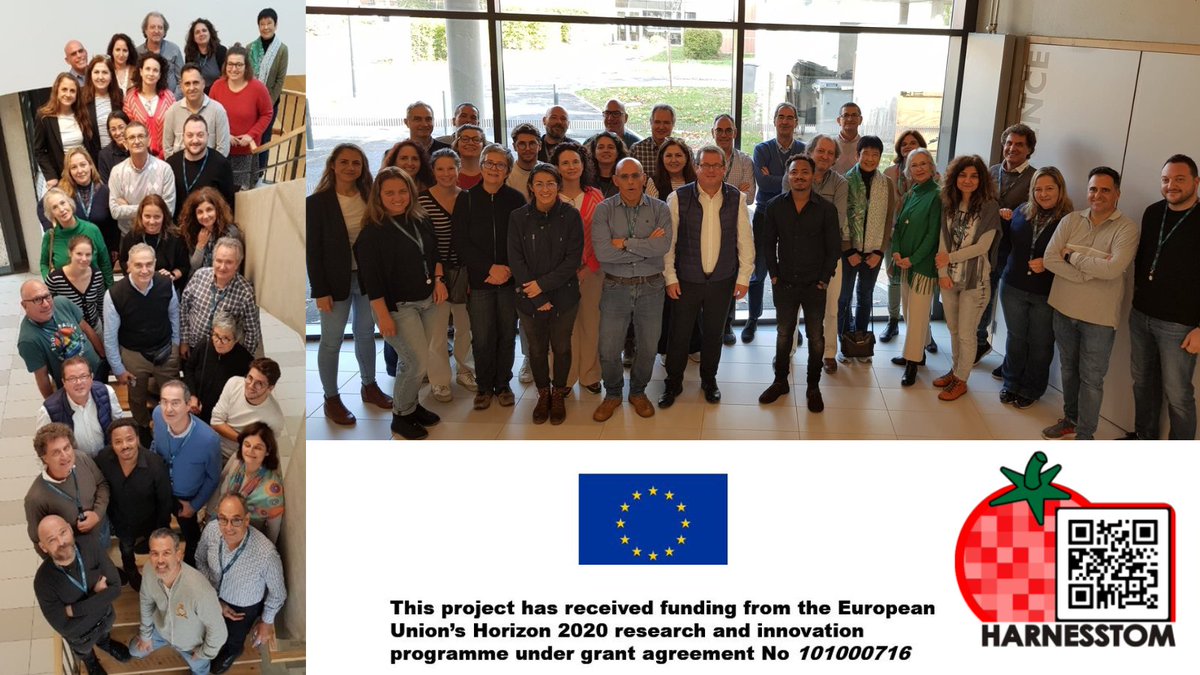 HARNESSTOM_EU's tweet photo. More than fifty scientists and breeders from @HARNESSTOM_EU  gathered in Toulouse from November 14 till November 15, 2023 to discuss the latest results on the use of GenRes for improving tomato

🔗https://t.co/Ws2zIN7uxB https://t.co/AN0rDExzlY