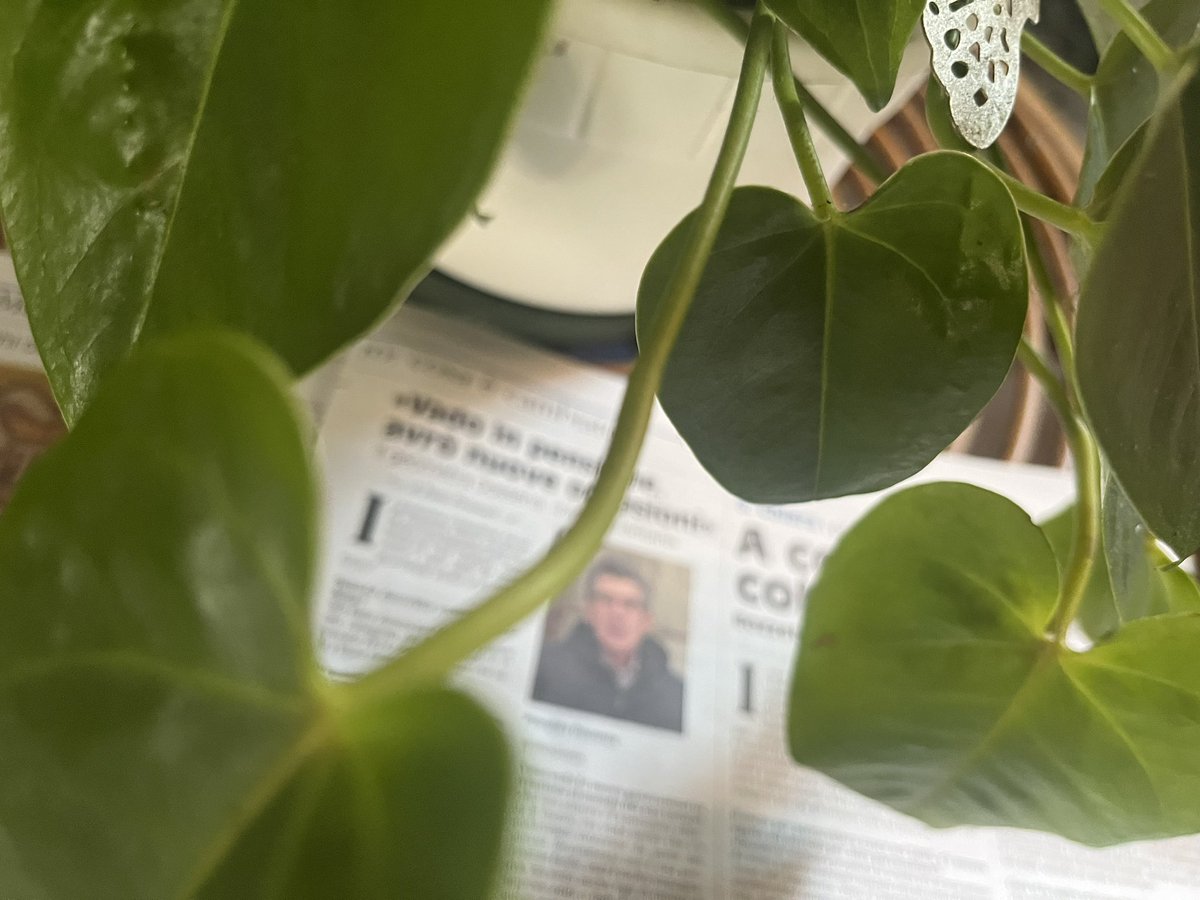 paoloangeloRF's tweet image. su #Mondopadano in edicola fino a domani mio servizio2pagine sull’evento con #Govoni che ha illustrato sistema educativo #Stillirise e 2mie interviste,ad un geometra prossimo alla pensione e alla seconda classificata ex aequo nel bando della borsa di studio dedicata ad un medico