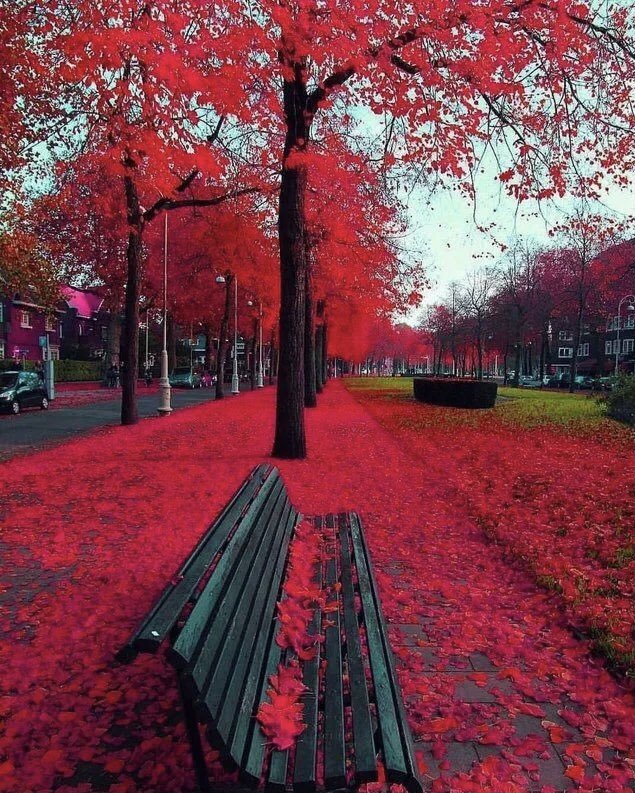 thecollxx1's tweet photo. Red Flower- The perfect piece of art for your home and office space.
📌 Available in different sizes
🚚 Worldwide delivery
Visit https://t.co/RSCgEYYcbw to get this now!
•
•
#art
#artsandcrafts
#homedecor
#houseinterior
#frames
#workofart
#artseller
#wallframes https://t.co/vGcUUauAFo
