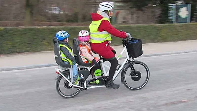 #Transport des enfants, des courses ou du matériel de travail : comment choisir le vélo-cargo idéal
#velocargo #Strasbourg france3-regions.francetvinfo.fr/grand-est/alsa…