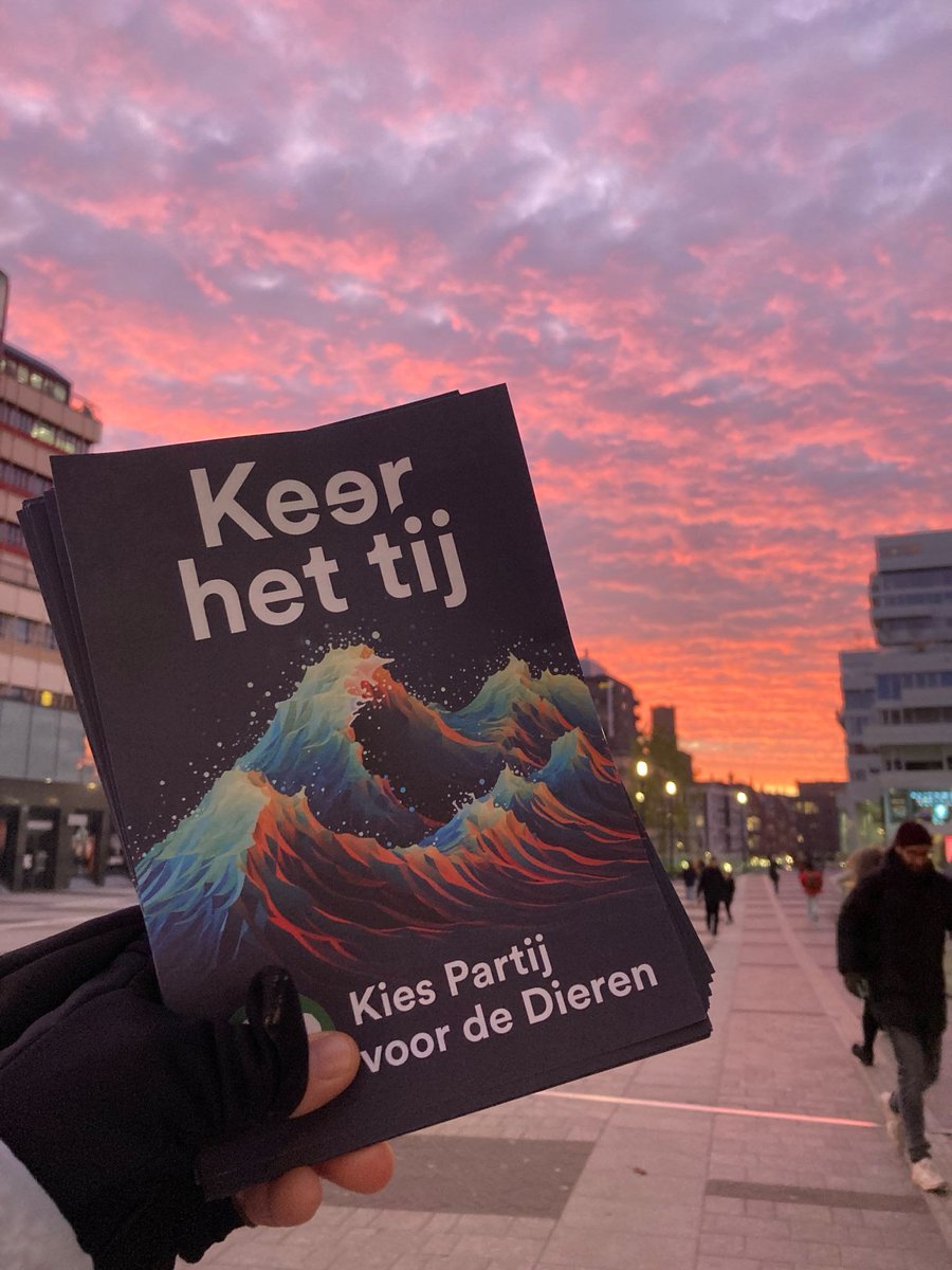 PvdDUtrecht's tweet photo. Kies met je groene, diervriendelijke en sociale hart vandaag, laat haat tegen levende wezens niet winnen 💚💚💚💚

#PvdD #PartijVoorDeDieren https://t.co/ctERYNqD1m