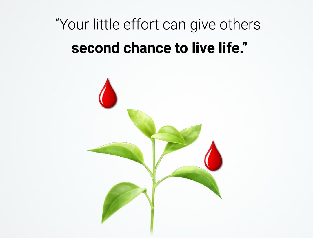 I urge all pharmacists to come forward and donate blood to save lives.Every drop of blood counts...🙏
#ફાર્માસિસ્ટ_દ્વારા_રક્તદાન
#ચાલો_વિસનગર

<a href="/CDHO_Dwarka/">CDHO Devbhumi Dwarka</a>
<a href="/PVarmoraBJP/">Prakash Varmora</a>
<a href="/jvkakadiya/">J V Kakadiya</a>
<a href="/rajendrasinhinc/">Rajendrasinh Parmar</a>
<a href="/jptalaviya/">Janak Talaviya</a>
<a href="/mlakkpatel/">Kirit Patel</a>
<a href="/HarshThakor2053/">Harsh Thakor Vadnagar 🚩</a>
<a href="/KanuDesai180/">Kanu Desai</a>
<a href="/PRupala/">Parshottam Rupala</a>
<a href="/shivkrupadhayay/">Shiv Kumar Upadhayay (Advocate)</a>