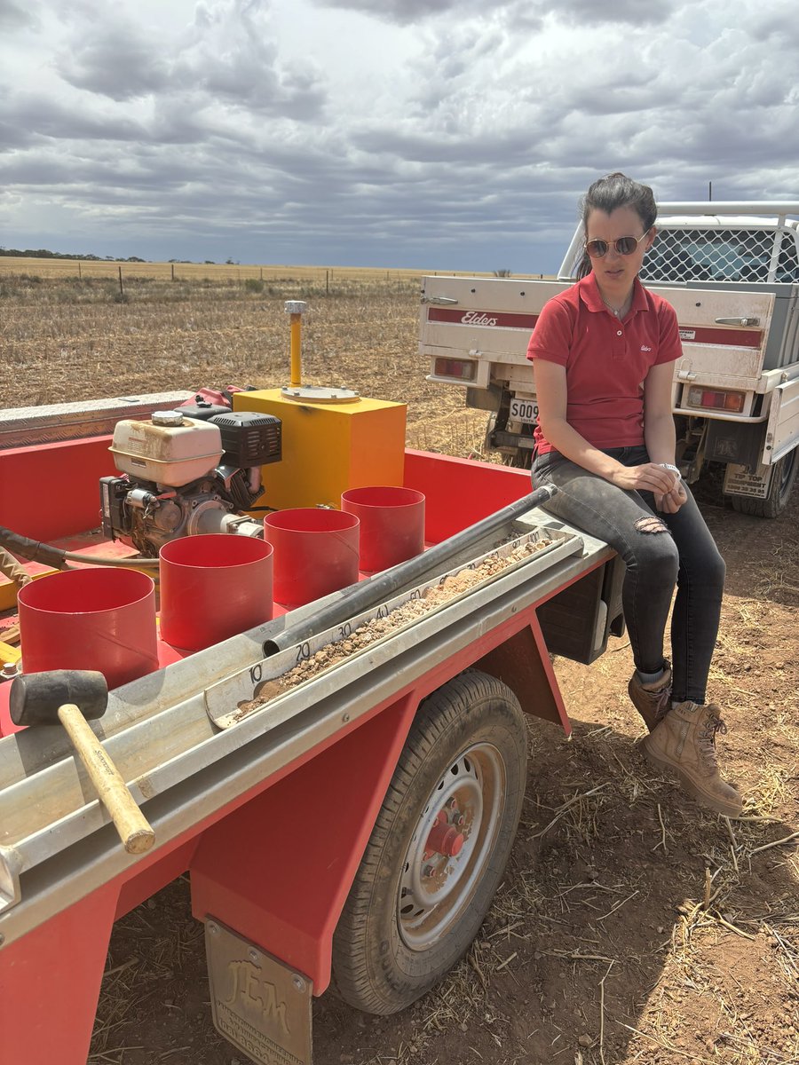 Jessica Koch tweet media