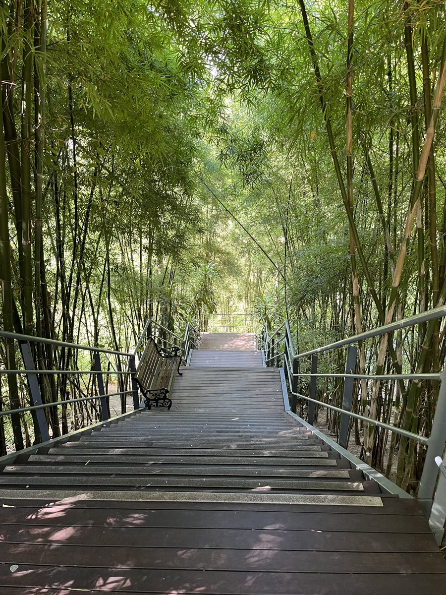 Xanten111's tweet image. Perhaps 10 years since my last visit. It has developed / changed a lot since. #Hellfirepass #Kanchanaburi