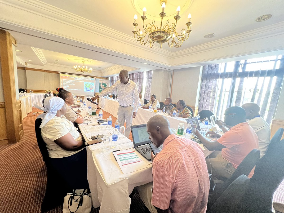 au_ibar's tweet photo. Empowering women in #AnimalResources at the #RAFFS inception workshop – Day 2; in Harare.

We are starting the day strong with discussions on training needs assessment, focusing on capacity gaps in the feed, fodder &amp; livestock food supply chain.

#WomenInAg #RAFFSWorkshop https://t.co/vWcxeRj4x7