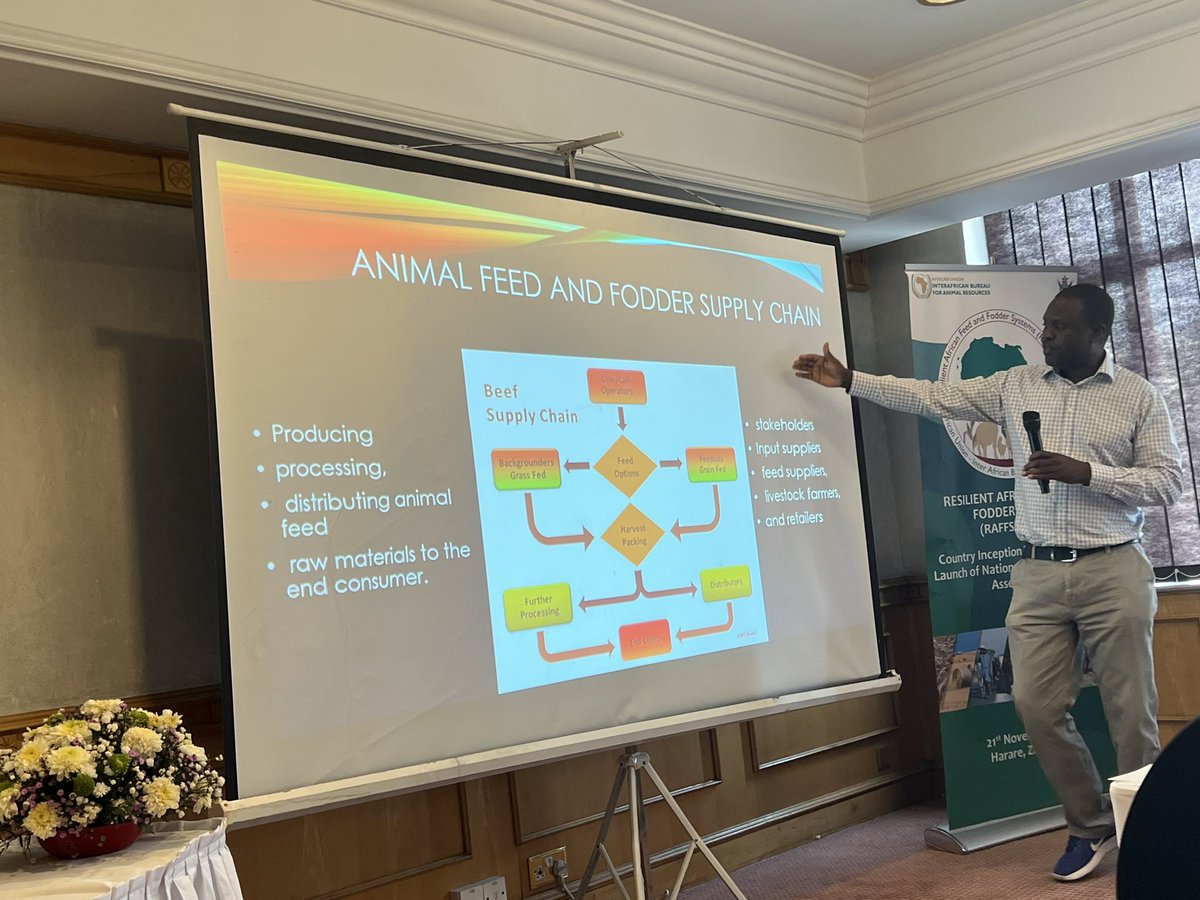 au_ibar's tweet photo. Empowering women in #AnimalResources at the #RAFFS inception workshop – Day 2; in Harare.

We are starting the day strong with discussions on training needs assessment, focusing on capacity gaps in the feed, fodder &amp; livestock food supply chain.

#WomenInAg #RAFFSWorkshop https://t.co/vWcxeRj4x7