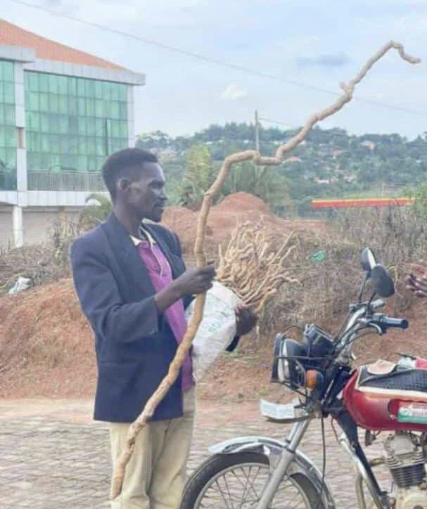 AaronHarouna099's tweet photo. Mother in law: I want my daughter happy 
Me: say no more 👇👇👇 https://t.co/nVZeGh1riG