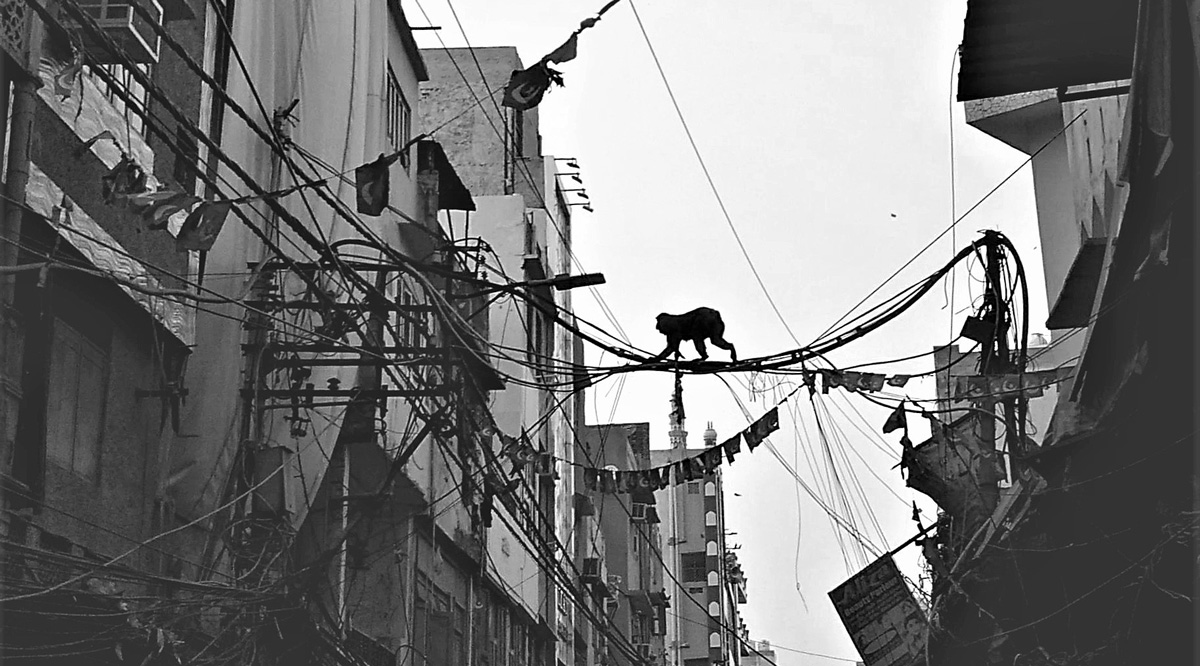 Does macaques’ use of hanging cables in Old Delhi point toward an urban arboreality? Maan Barua reflects on unforeseen ways of negotiating access to infrastructure among other-than-human lifeforms in the city: roadsides.net/barua-010/