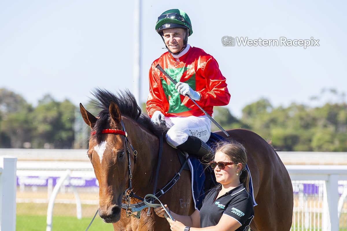WesternRacepix's tweet photo. MARINSKY BALLET - Bunbury Wed 22nd November @BunburyTurfClub #WesternRacepix #WAracing 

More 📸 https://t.co/SigLznY1t7 https://t.co/wAS6vE7zNo