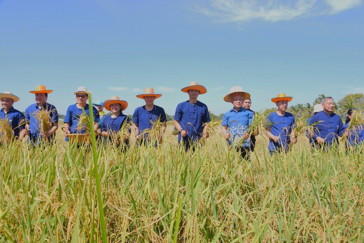 2idpr's tweet photo. "สืบสานธนาคารเมล็ดพันธุ์ของพ่อ"
วันที่ 22 พ.ย.66 พล.ต.เทพพิทักษ์ นิมิตร ผบ.พล.ร.2 รอ. ได้มอบหมายให้ พ.อ.บัญชา ชาญฉลาด เสธ.พล.ร.2 รอ. พร้อมคณะ ร่วมพิธี งานวันถ่ายทอดเทคโนโลยีการผลิตข้าว ตามโมเดลเศรษฐกิจ BCG model สู่เกษตรกร ณ โครงการพัฒนาส่วนพระองค์ จ.ปราจีนบุรี https://t.co/Gh0lfo2i6o