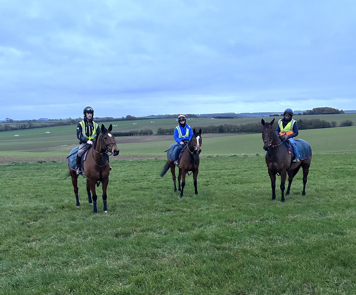 International raiders after work this AM. Next week Highfield Princess (left) heads to Hong Kong for the Longines Sprint @HKJC_Racing. JM Jungle (middle) & Brazen Bolt (right) head east too for the Turf Series @BahrainTurfClub - exciting times! 🙌🏻