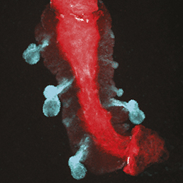 Mikkola Lab tweet media