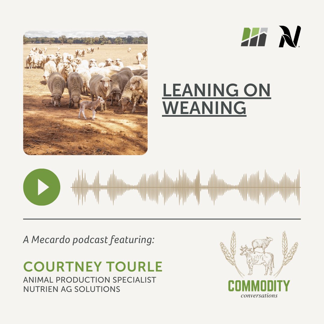Did you catch the recent episode of Commodity Conversations by Mecardo "Leaning on weaning".

Tune in now: open.spotify.com/episode/3c5e04…