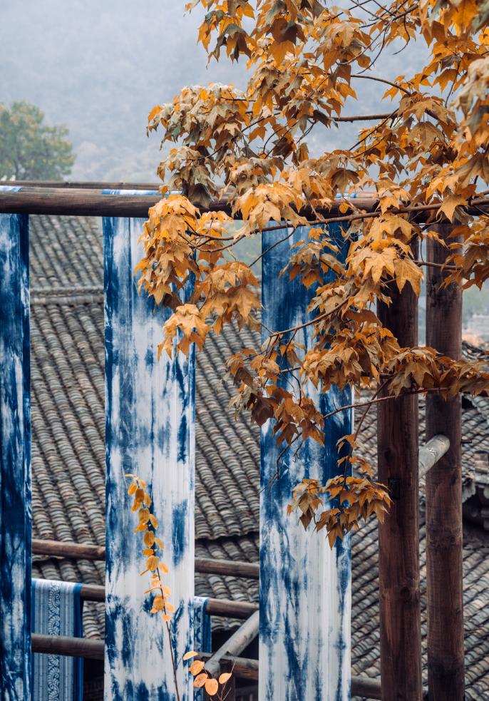 amazingguizhou2's tweet photo. Autumn in #Wujiazhai, Guizhou: stroll the cobblestone streets, embrace the season's tranquility. Perfect for a soul-soothing escape. Located in Zunyi, Guizhou. #GuizhouTravels #AutumnEscapes https://t.co/Q0gN2LSZ4H