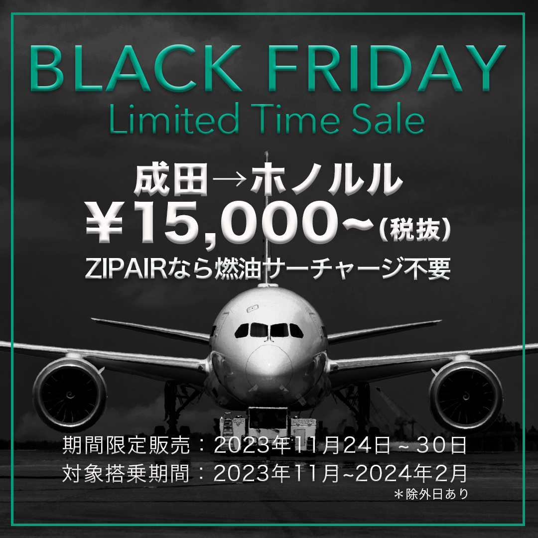 BLACK FRIDAY SALE 3点おまとめ Black Friday Sales Round-Up 2023 - FSElite