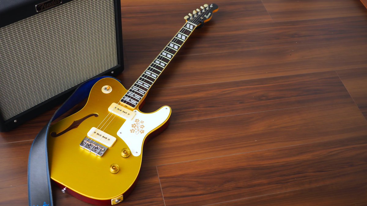 やっぱりコレ Bruno Guitars TN-295 #名刺代わりにギターを一本
