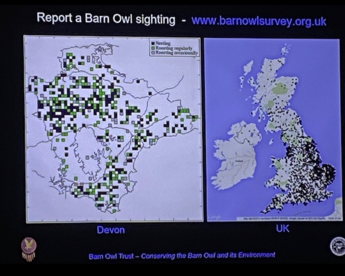 CentreBraunton's tweet photo. A great evening of talks last night with the @barn_owl_trust 🦉
We heard how the Barn owl lives, hunts & how they are coping in our changing climate.
The @barn_owl_trust do lots of surveying, report your sightings of barn owls on their website.
#connect2nature https://t.co/Y3ewLAuwub