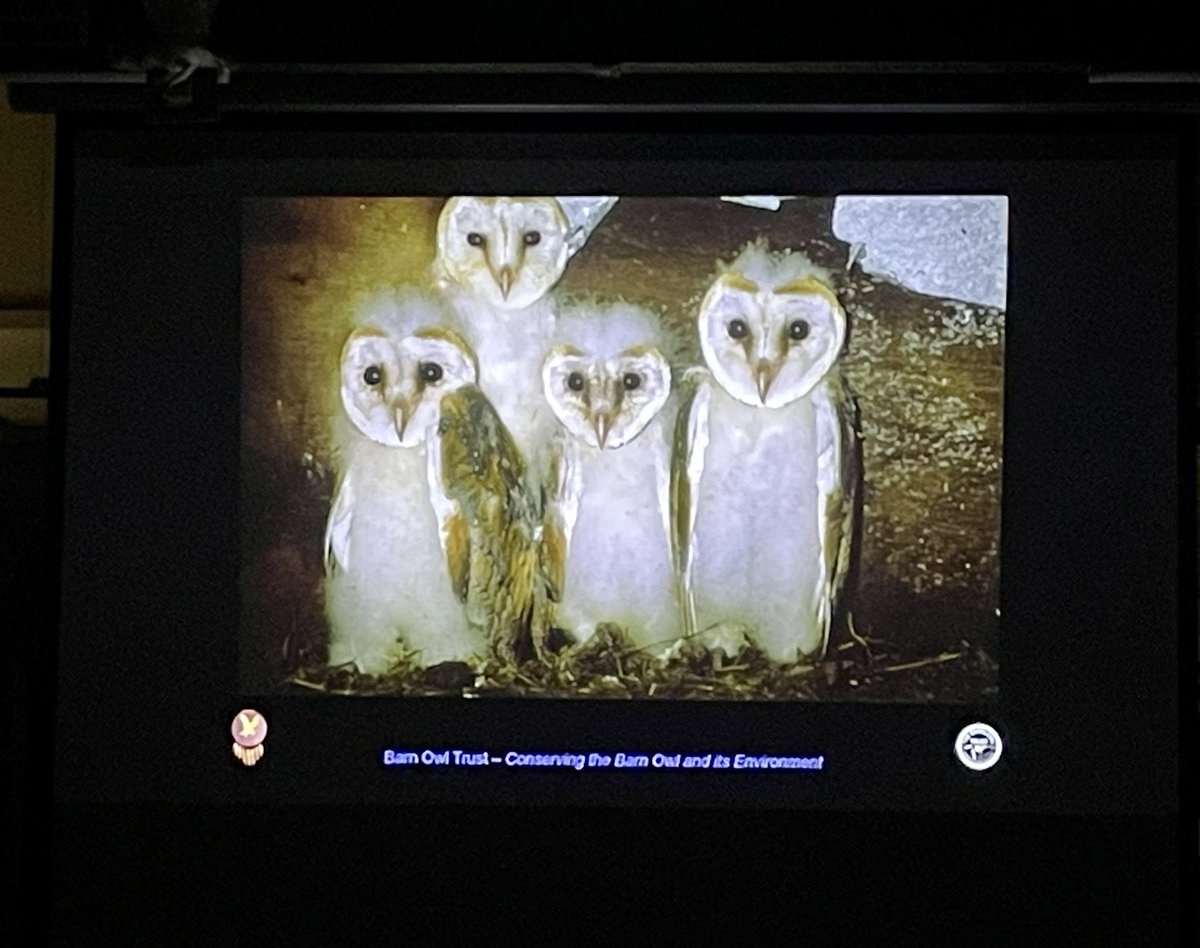 A great evening of talks last night with the @barn_owl_trust 🦉

We heard how the Barn owl lives, hunts &amp; how they are coping in our changing climate.

The @barn_owl_trust do lots of surveying, report your sightings of barn owls on their website. 

#connect2nature