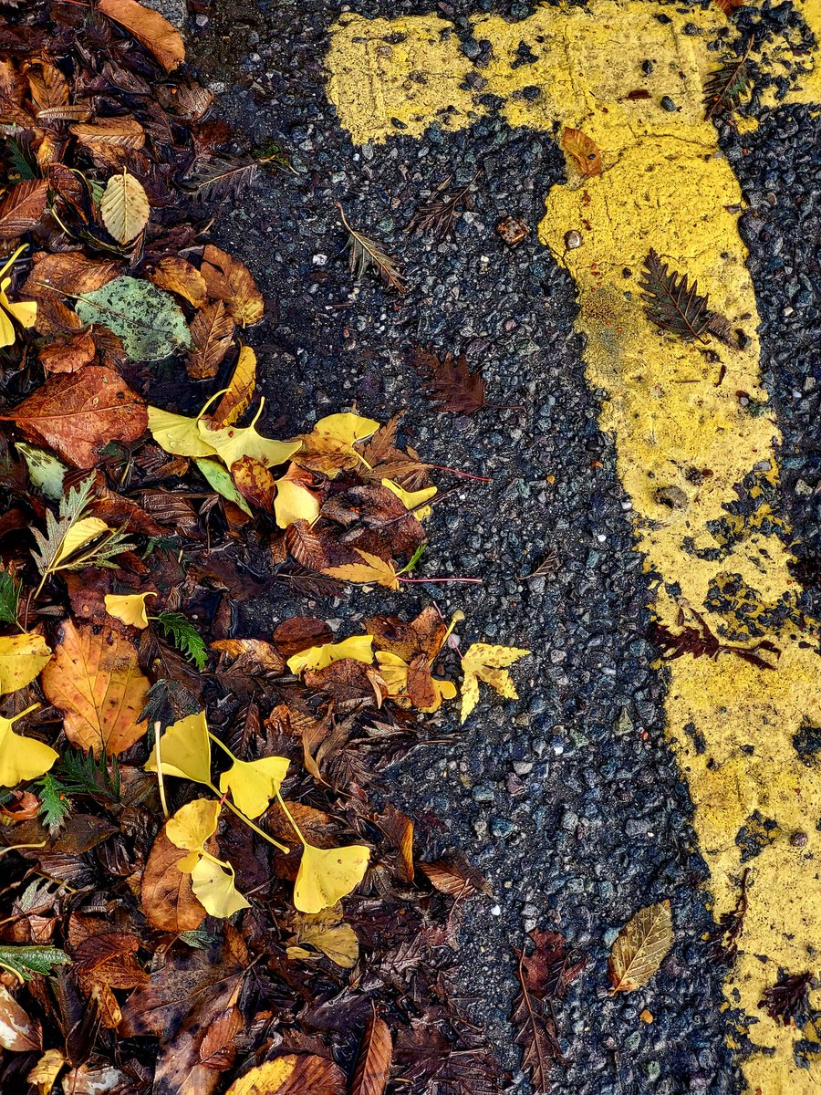 Jenny Linford tweet media