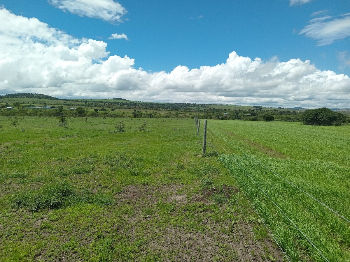 LaikipiaRanches's tweet photo. 24 acres.

✅️Fenced.
✅️Access to community water.
✅️Perennial pond.
✅️Picturesque gorge along the Southern boundary.
✅️Splendid views of Mt Kenya. 

📍 Ethi-Timau, Laikipia. 

Asking:22.8M https://t.co/VAZ9T17cZg