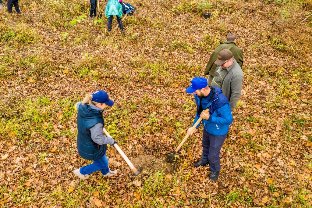 RNP_Romsilva's tweet photo. Peste 50 de voluntari au plantat 600 de puieți de gorun pentru refacerea unui habitat de pădure din Parcul Național Munții Măcinului.
📷600 Sessile oak trees were planted in Munții Măcinului National Park, in #Romania #romsilva #macin #Parculnationalmuntiimacinului #oaktrees https://t.co/KBn6RNeq8I