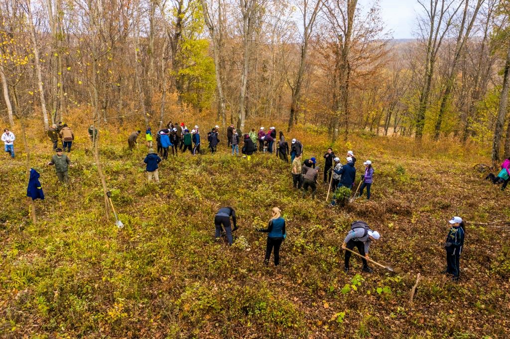 RNP_Romsilva's tweet photo. Peste 50 de voluntari au plantat 600 de puieți de gorun pentru refacerea unui habitat de pădure din Parcul Național Munții Măcinului.
📷600 Sessile oak trees were planted in Munții Măcinului National Park, in #Romania #romsilva #macin #Parculnationalmuntiimacinului #oaktrees https://t.co/KBn6RNeq8I