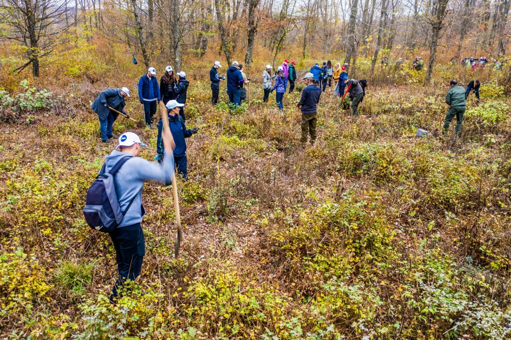 RNP_Romsilva's tweet photo. Peste 50 de voluntari au plantat 600 de puieți de gorun pentru refacerea unui habitat de pădure din Parcul Național Munții Măcinului.
📷600 Sessile oak trees were planted in Munții Măcinului National Park, in #Romania #romsilva #macin #Parculnationalmuntiimacinului #oaktrees https://t.co/KBn6RNeq8I