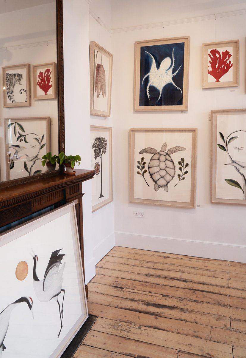 Conservation Collective tweet media