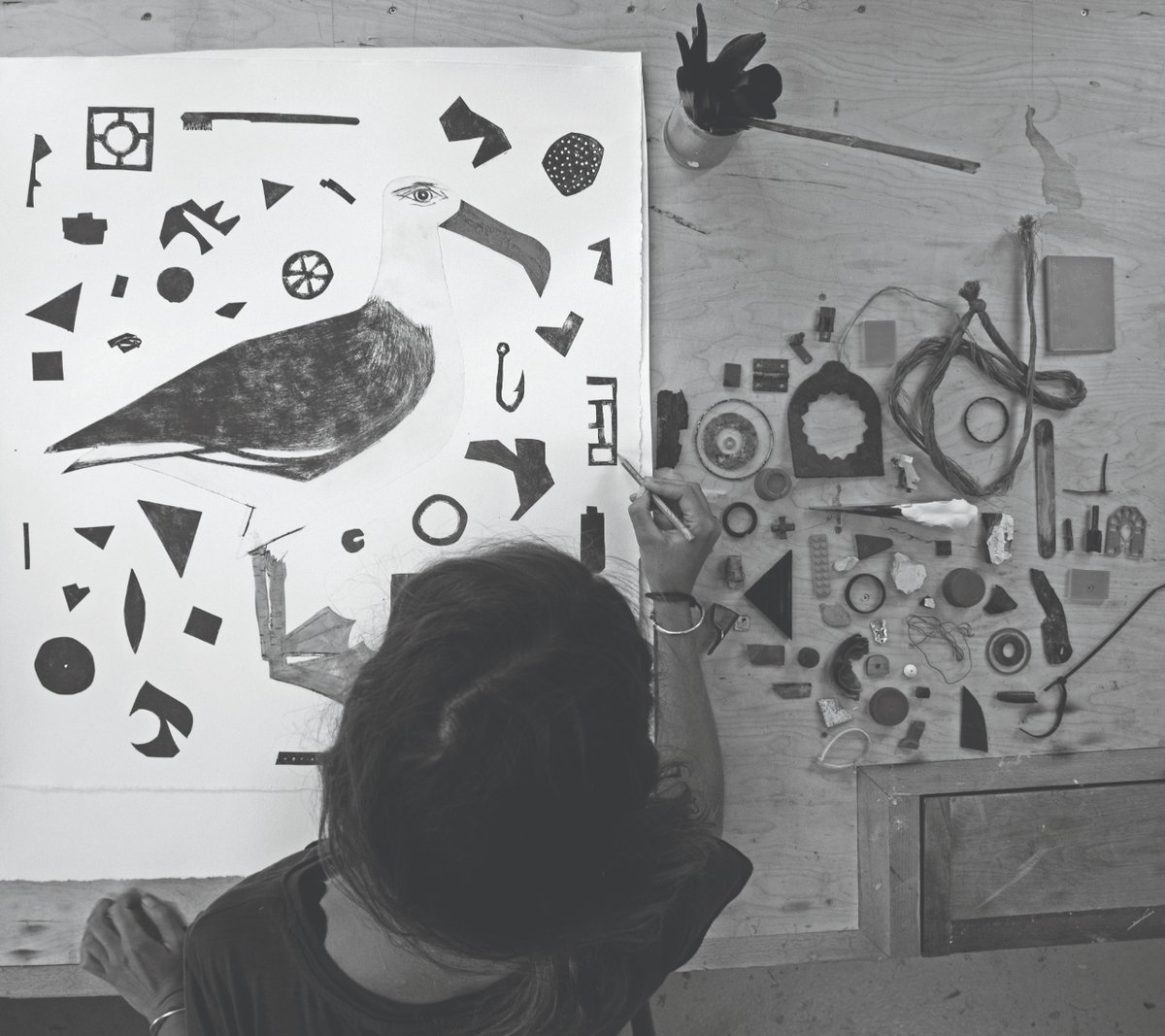 Conservation Collective tweet media