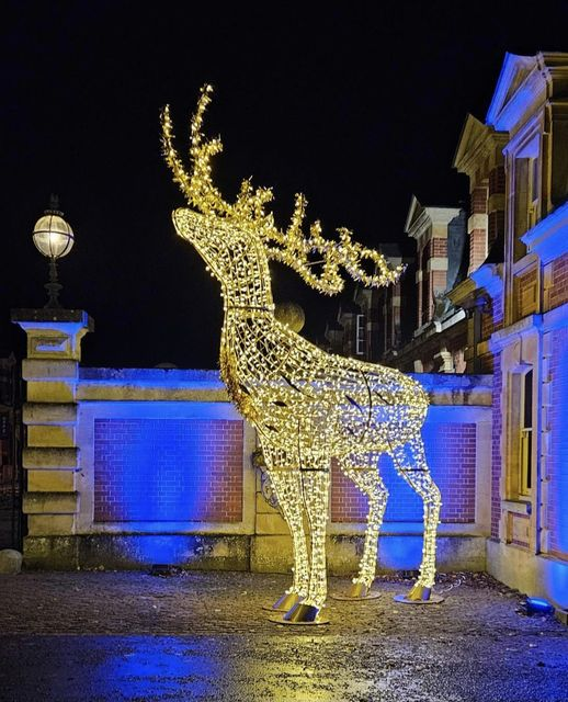 The most impressive garden reindeer I have seen so far this Christmas! The Christmas Magic has started at @WaddesdonManor waddesdon.org.uk #waddesdonmanor #Christmas #Christmasfair #christmastrail #christmasfoodvillage