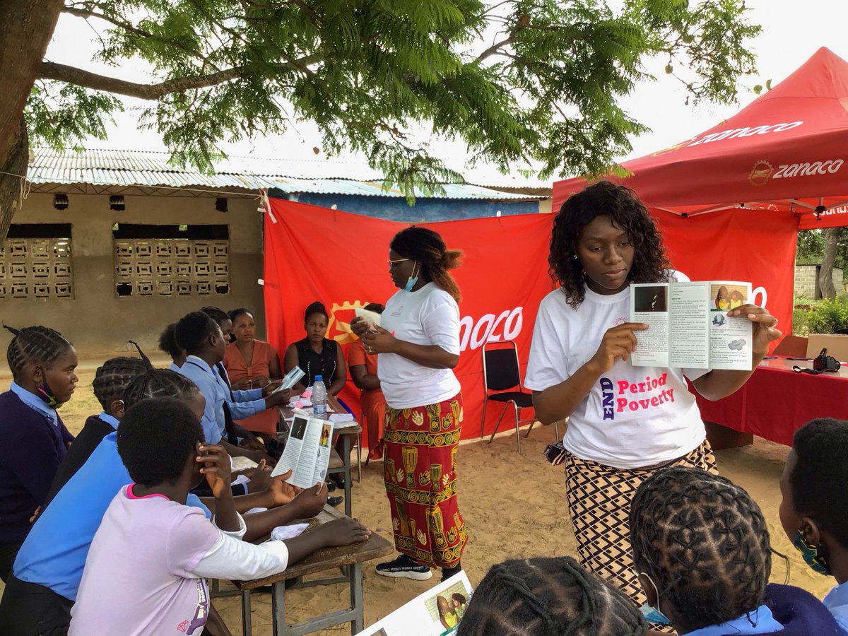 The Basizana Project tweet media