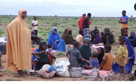 sntvnews1's tweet photo. The Information Minister @DaudAweis said that heavy rains and floods continue to devastate southern #Somalia, displacing hundreds of farmers in Lower Jubba Region. The Minister said the government is committed to providing essential support to the victims. https://t.co/e48A8VwlyN