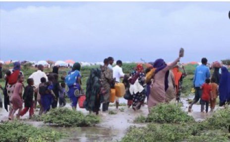 sntvnews1's tweet photo. The Information Minister @DaudAweis said that heavy rains and floods continue to devastate southern #Somalia, displacing hundreds of farmers in Lower Jubba Region. The Minister said the government is committed to providing essential support to the victims. https://t.co/e48A8VwlyN