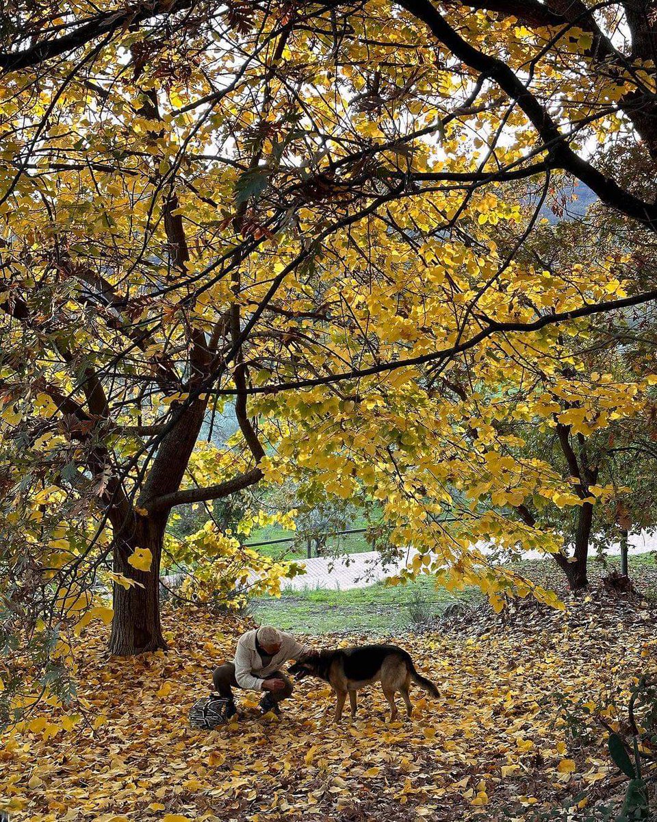 Turismo Norte de Extremadura tweet media